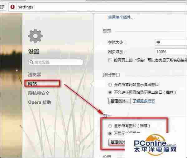 opera浏览器怎么设置不显示图片