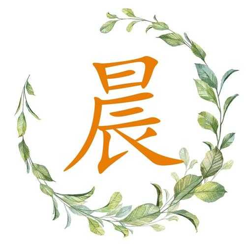 晨字取名的寓意是什么意思（揭秘晨字取名的含义和好处）