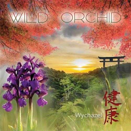 【新世纪】Wychazel-2021-APaganLand(FLAC)