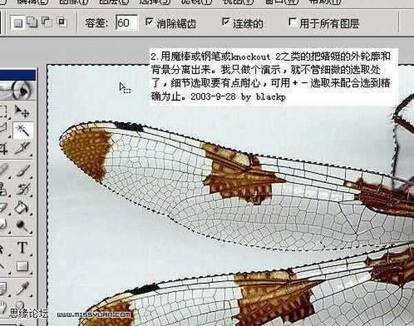 利用PS图层混合更换蜻蜓背景教程