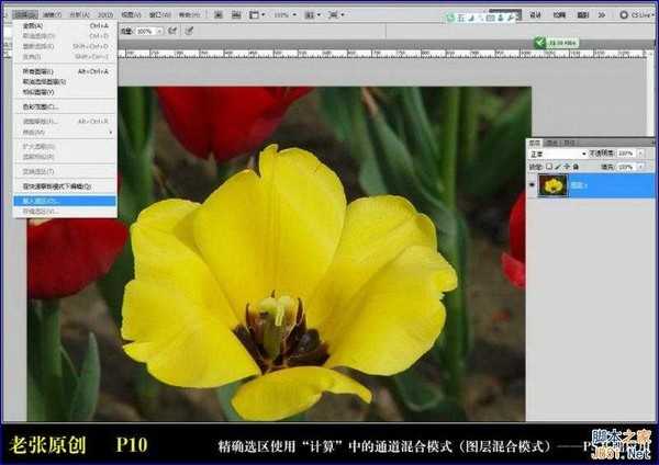 Photoshop通过计算命令无限改变花的颜色图文教程