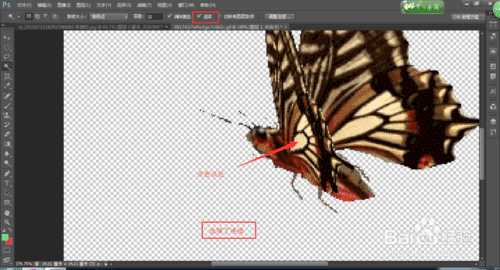 photoshop cs6魔棒工具使用技巧详解