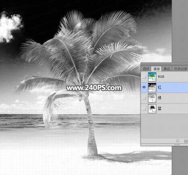 photoshop如何用通道快速抠出海边枝叶繁茂的椰子树