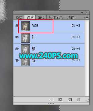 Photoshop巧用通道抠图快速完美抠出毛茸茸的雪中灰狼教程