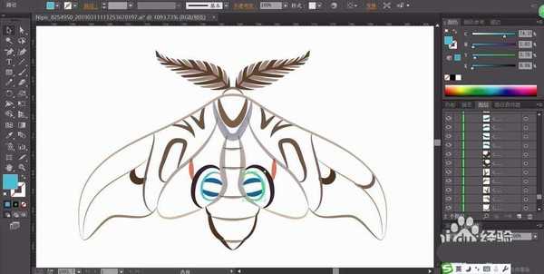 ai怎么手绘飞蛾矢量图? ai画飞蛾的教程